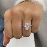 Halo with Pave Band