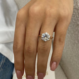 Solitaire