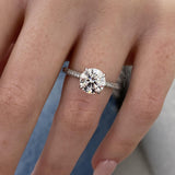 Auryn Engagement Ring 2.50 Carat White Gold