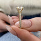 Auryn Engagement Ring 2.50 Carat Yellow Gold