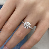 Auryn Engagement Ring 3 Carat White Gold