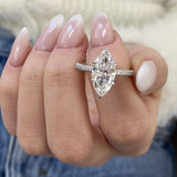 Zinnia Engagement Ring 3.60 Carat White Gold