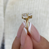 Fashion Rings