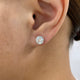 Diamond Stud Earrings 2 ct White Gold