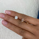 Solitaire Stud Earrings 3 ct TCW , Solid Gold 14k