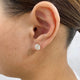 Solitaire Stud Earrings 3 ct TCW , Solid Gold 14k