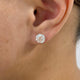 Solitaire Stud Earrings 4 ct TCW , Solid Gold 14k