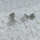 Stud Earrings