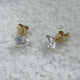 Stud Earrings