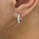 Round Earrings 1.3ct TCW, White Gold 14K