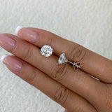 Solitaire Stud Earrings 5ct TCW, 14K Gold