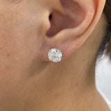 Solitaire Stud Earrings 5ct TCW, 14K Gold