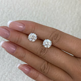 Solitaire Stud Earrings 5ct TCW, 14K Gold