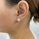 Solitaire Stud Earrings 5ct TCW, 14K Gold