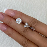 Solitaire Stud Earrings 5ct TCW, 14K Gold