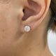 Solitaire Stud Earrings 2.5ct TCW, 14K Gold