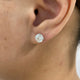 Solitaire Stud Earrings 2.5ct TCW, 14K Gold