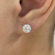 Solitaire Stud Earrings 2.5ct TCW, 14K Gold