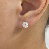 Solitaire Stud Earrings 2ct TCW, 14K Gold