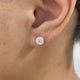 Solitaire Stud Earrings 2ct TCW, 14K Gold