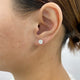 Solitaire Stud Earrings 2ct TCW, 14K Gold