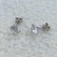 Stud Earrings