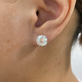 Solitaire Stud Earrings 6ct TCW, 14K Gold