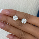 Solitaire Stud Earrings 6ct TCW, 14K Gold