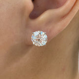Solitaire Stud Earrings 6ct TCW, 14K Gold