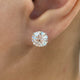 Solitaire Stud Earrings 6ct TCW, 14K Gold