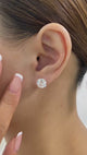 Solitaire Stud Earrings 6ct TCW, 14K Gold