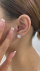Solitaire Stud Earrings 5ct TCW, 14K Gold